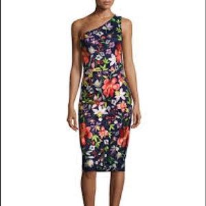 NWT David Meister Embroidered Cocktail Dress